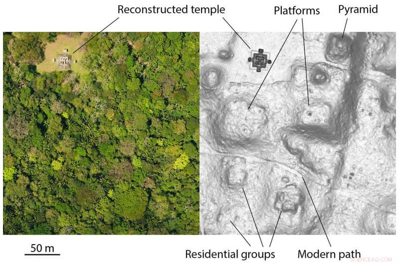 Laser Mapping Uncovers New Frontiers in Maya Archaeology at Ceibal