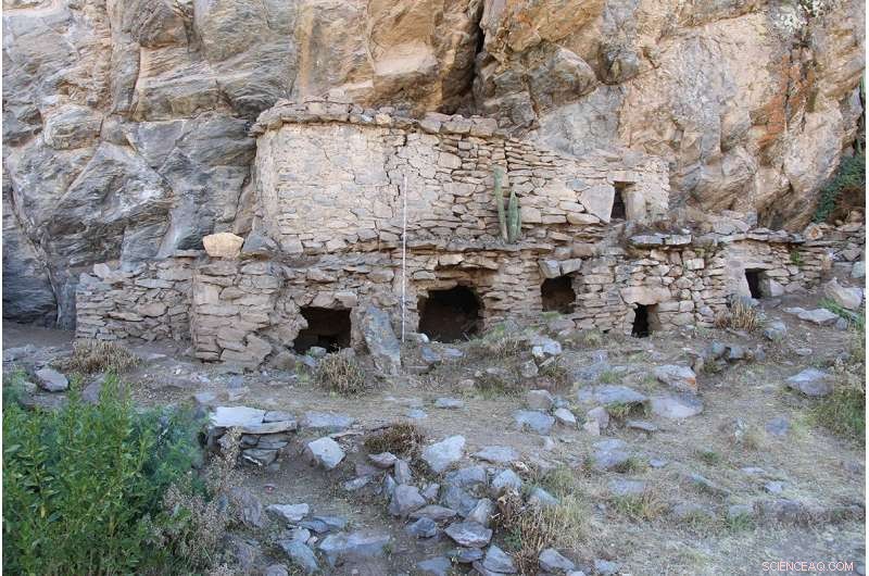 Cranial Binding in the Andes: How Infant Skull Modification Signaled Identity and Inequality (1100‑1450)