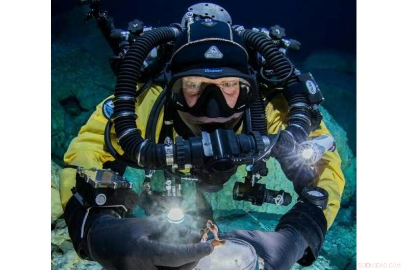 Researchers Build Immersive 3D Model of Mexico’s Historic Underwater Cave