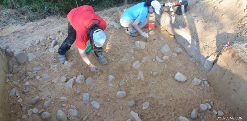 Giant Handaxes Reveal Coexistence of Distinct Early Human Groups in Ancient Europe