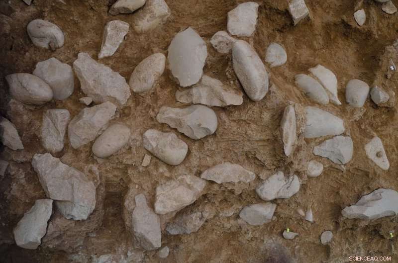 Giant Handaxes Reveal Coexistence of Distinct Early Human Groups in Ancient Europe