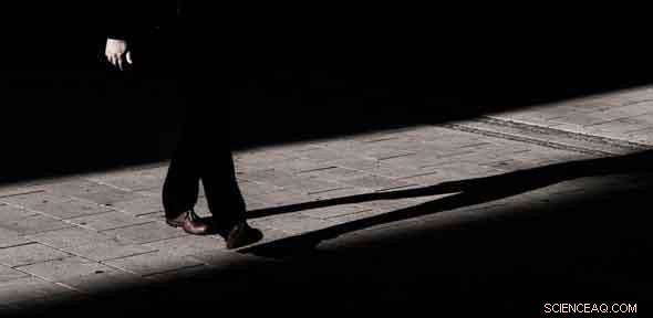 AI-Driven Custody Guidance: Enhancing Police Decision-Making