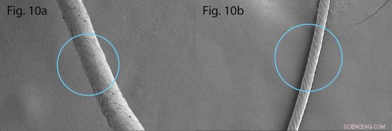 Finland Discovers 4,000‑Year‑Old Neolithic Goat from Corded Ware Era