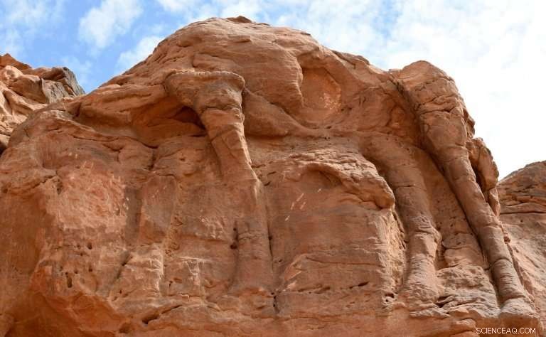 Ancient Camel Sculptures Unearthed in Saudi Desert: A New Chapter in Rock Art