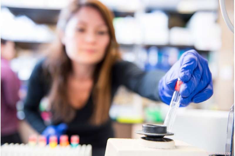 Unveiling the Glass Ceiling: Gender Disparities in Academic Publishing