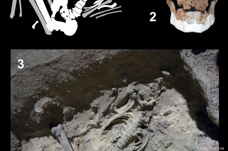 Iberia’s Genetic Past Diverges from Central/Northern Europe: New 4000‑Year Study