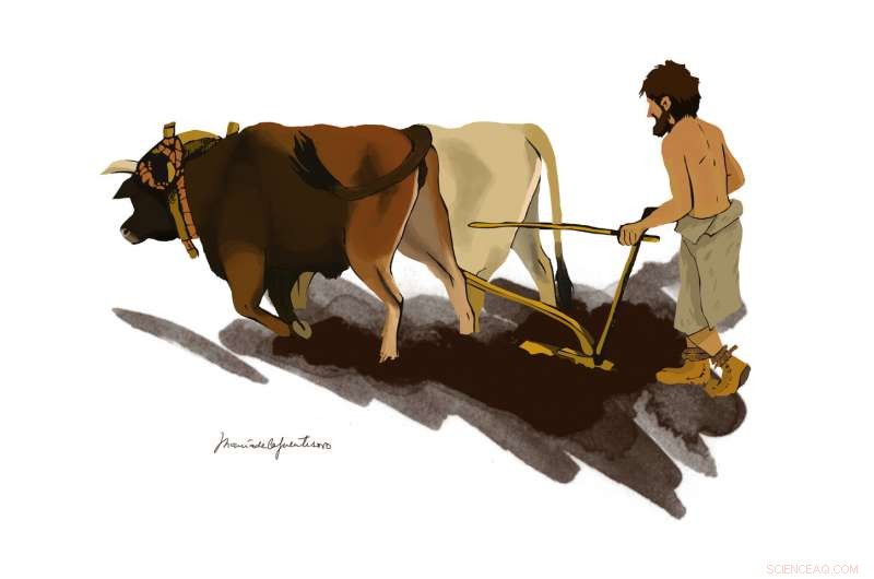 Iberia’s Genetic Past Diverges from Central/Northern Europe: New 4000‑Year Study