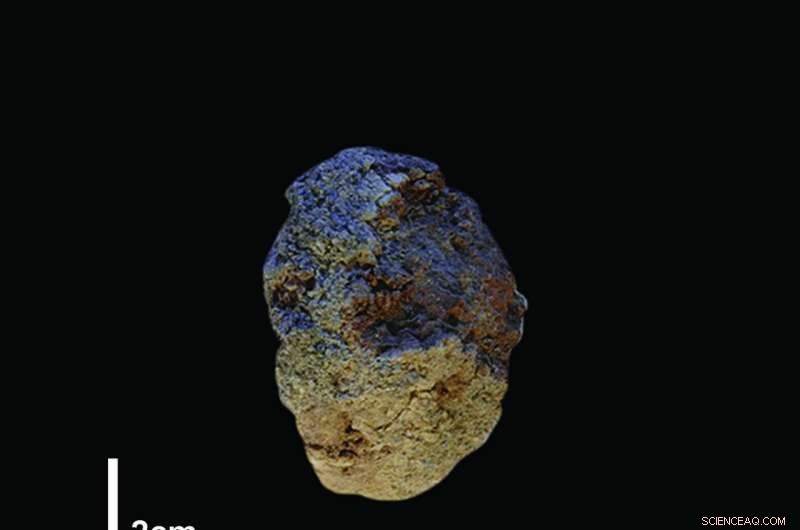 New Fossil Finds Push Back Human Innovation Timeline to 1.2 Million Years Ago