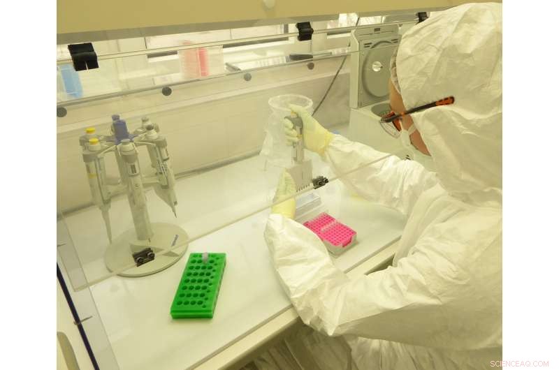 New Genomic Study Reveals Stone Age Ancestry of North Africans from Morocco