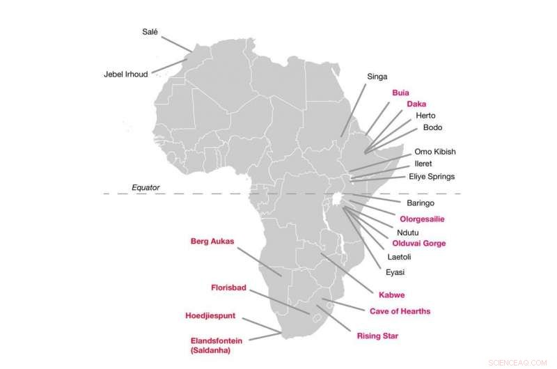 Kenyan 320,000-Year-Old Tools Push Back Human Technological Innovation Timeline