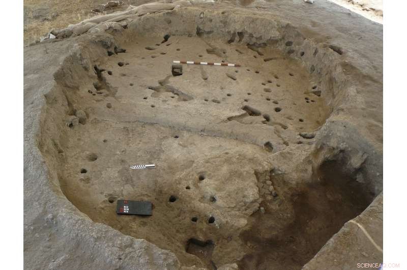 Indigenous Communities Sparked Anatolian Agriculture, Challenging Fertile Crescent Migration Theory