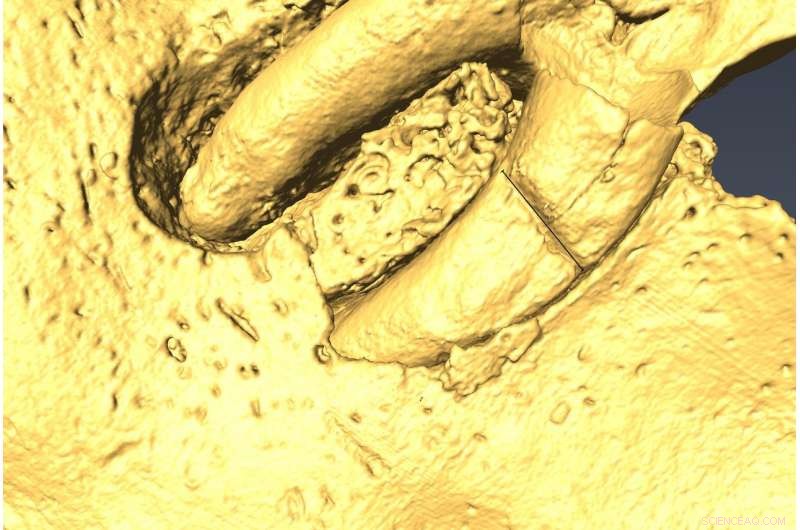 New Study Extends Malta’s Settlement Timeline by 700 Years