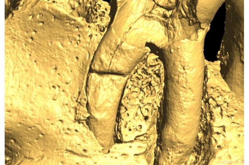 New Study Extends Malta’s Settlement Timeline by 700 Years