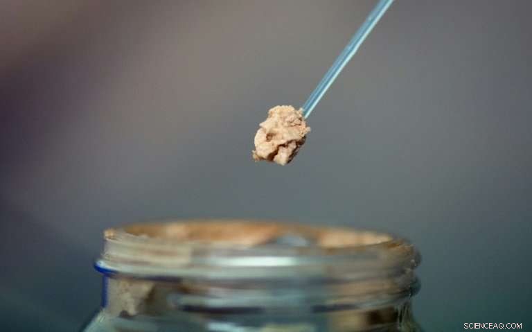 Belgium Launches Probe into Major Meat Labeling Fraud