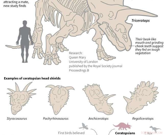 Why Dinosaur Frills and Horns Were Not for Species Recognition