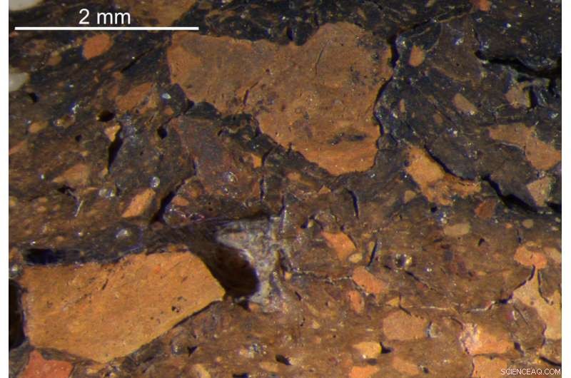 Female Potters of the Baltic: 5,000-Year-Old Journeys of Skilled Women