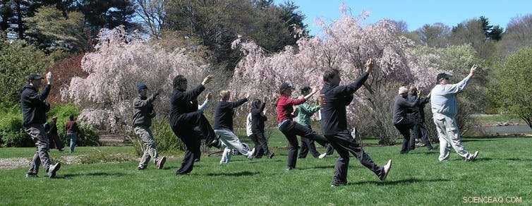 Combating Urban Loneliness: How Third Places Foster Community Connections