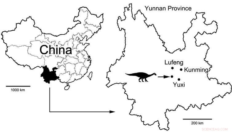 Scientists Uncover 200-Million-Year-Old Dinosaur Bite with Signs of Infection