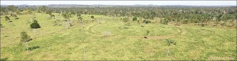 New Research Reveals Amazon’s Hidden Populations: Up to 1 Million Residents in Previously Thought‑Uninhabited Areas