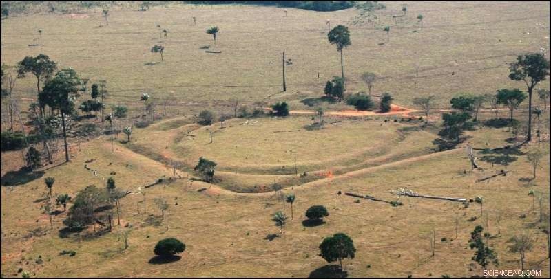 New Research Reveals Amazon’s Hidden Populations: Up to 1 Million Residents in Previously Thought‑Uninhabited Areas