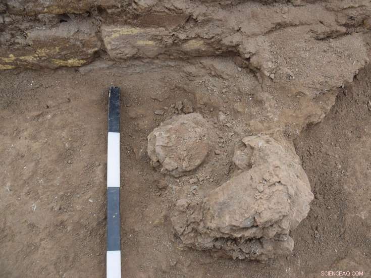 Unveiling Early Urban Life: Excavations at Ur s Ziggurat Reveal Mesopotamian City Foundations