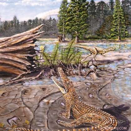 Isisfordia duncani Fossils Reveal Cretaceous Queensland Climate