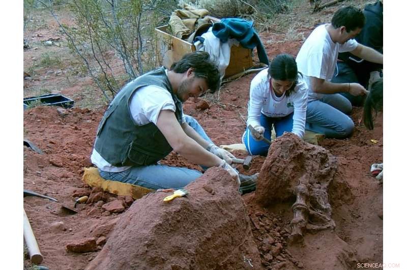 New Patagonian Predator Illuminates the Elusive Megaraptoridae Family