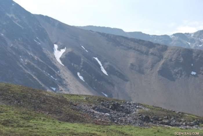 Cambrian Sea Worm’s Fossilized Poop Reveals 500‑Million‑Year‑Old Ocean Food Web