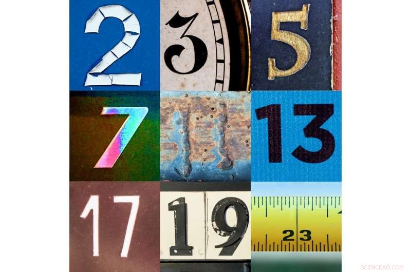 Prime Numbers: The Ongoing Enigma That Captivates Mathematicians