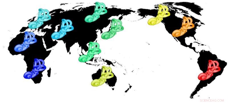 The Human Bony Labyrinth as a Tool for Tracing Global Migration from Africa