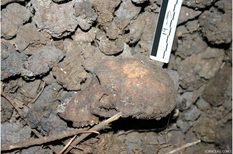 AI Analysis Reveals Ancient Hominin Remains Likely Not Buried Ritualistically