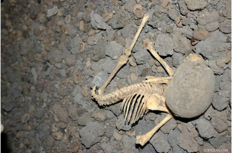 AI Analysis Reveals Ancient Hominin Remains Likely Not Buried Ritualistically