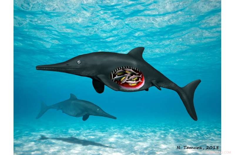 180‑Million‑Year‑Old Ichthyosaur Carries Octuplets: New Fossil Discovery