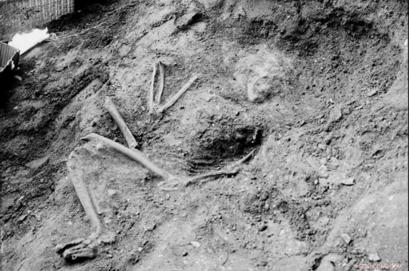 New Research Reveals Neanderthals Supported Each Other and Reached Old Age