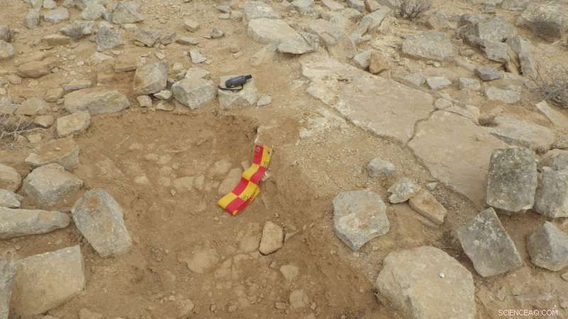 FAU Geographers Uncover Ancient Land Use Near Jordan Valley