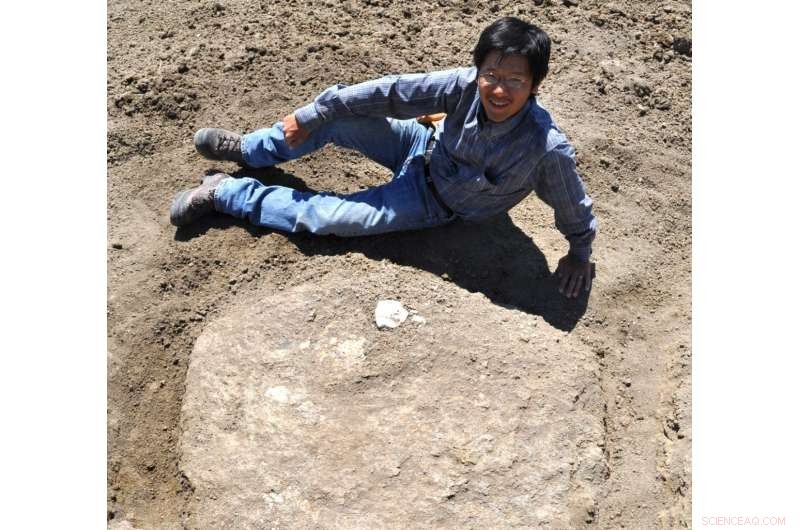 New Study Suggests Cretaceous Mosasaur Specialized in Preying on Fish