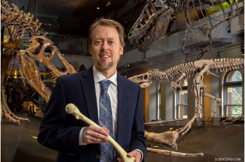 Paleontologist-Professor Bridges Fossil Research and Human Anatomy for Medical Advancement