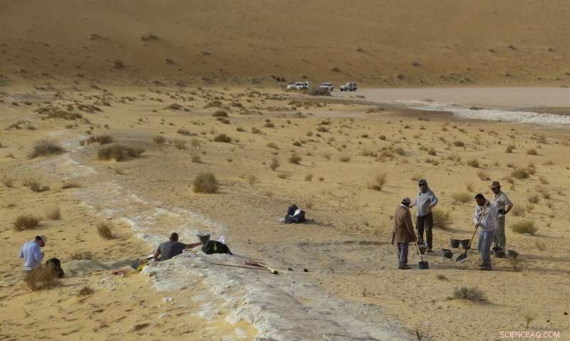 New Evidence Shows Early Human Migration from Africa Was Wider Than Once Believed