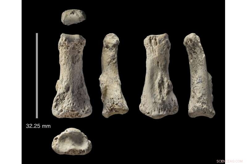 New Evidence Shows Early Human Migration from Africa Was Wider Than Once Believed