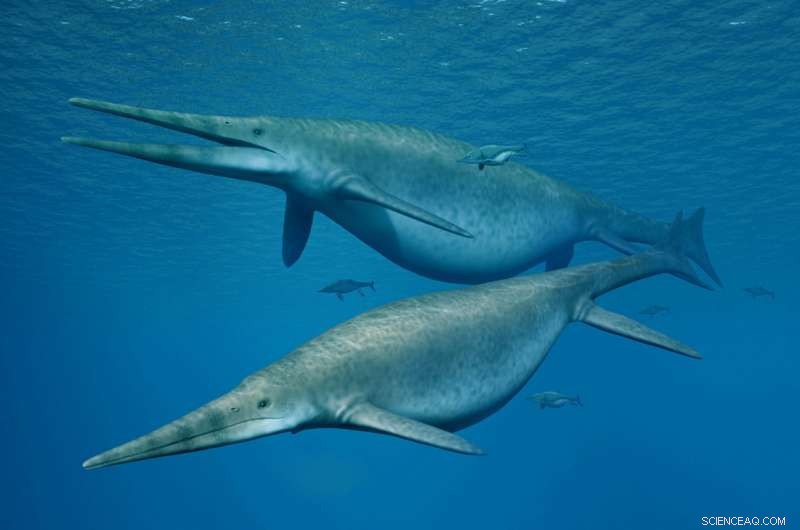 Massive Ichthyosaur Jaw Bone Discovered on British Beach