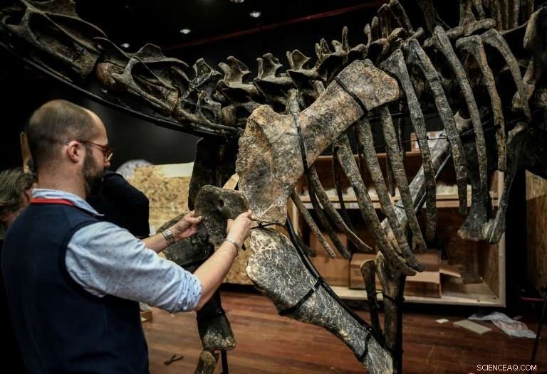 Two Rare Dinosaur Skeletons on Sale in Paris: A Luxury Interior Design Opportunity