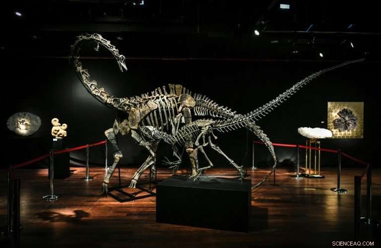 Two Rare Dinosaur Skeletons on Sale in Paris: A Luxury Interior Design Opportunity