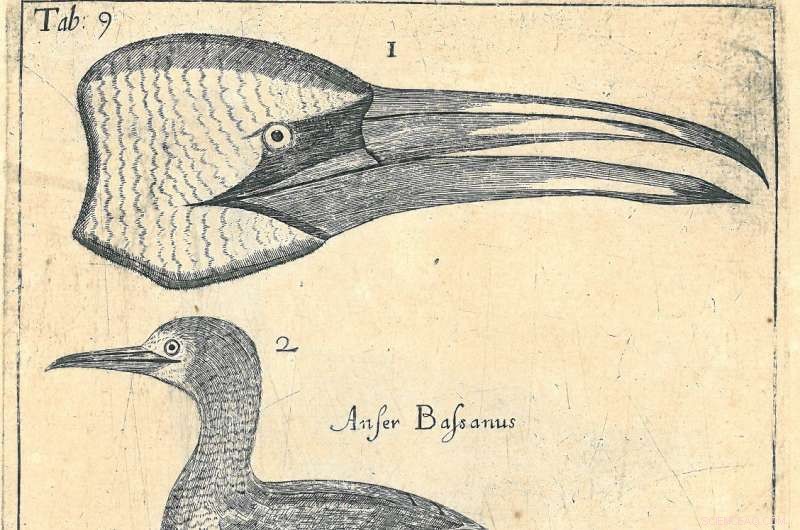 New Insights into 17th-Century Scottish Natural History Revealed by Recent Research