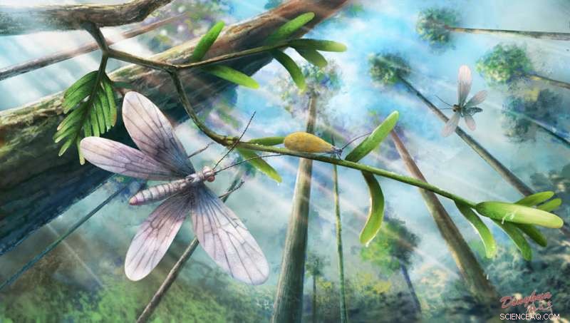 Scientists Reveal True Color of 200‑Million‑Year‑Old Insect Using Fossil Scales