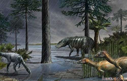 Dinosaurs’ Rise After a Mass Extinction: Insights from the Carnian Pluvial Episode