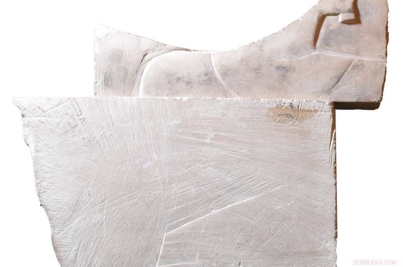 Swansea University Discovers Rare Hatshepsut Depiction on Ancient Egyptian Artifact