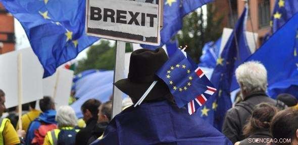 New Cambridge Study Links Cognitive Flexibility to EU Referendum Voting Attitudes