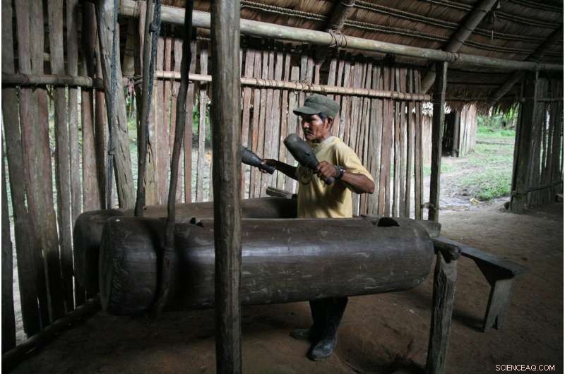Amazonian Bora People Use Drums to Mimic Language Rhythm for Long‑Distance Communication