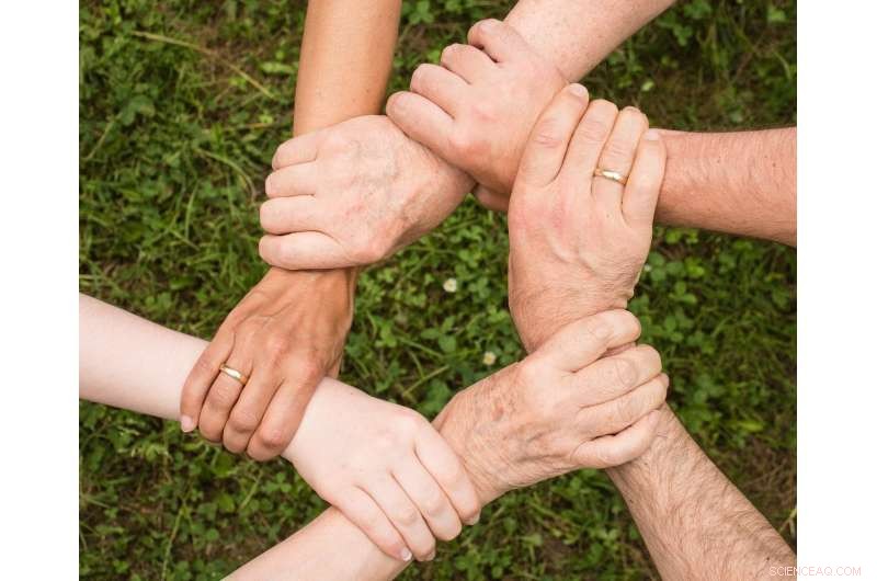 Research Reveals How Cooperation Thrives or Falters Through Partner and Rival Strategies