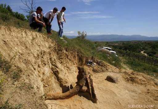 Ancient 8‑Million‑Year‑Old Elephant Fossil Discovered in Macedonia
